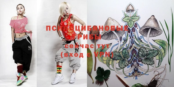 соль ск Алзамай