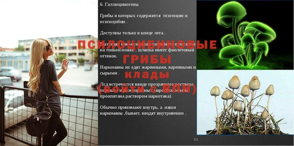 MESCALINE Алексеевка