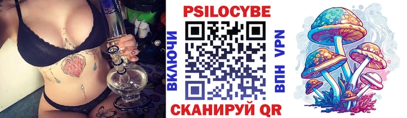 Псилоцибиновые грибы Psilocybe  Купить где  Белая Холуница 
