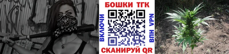 Купить где  Белая Холуница  Бошки марихуана марихуана 